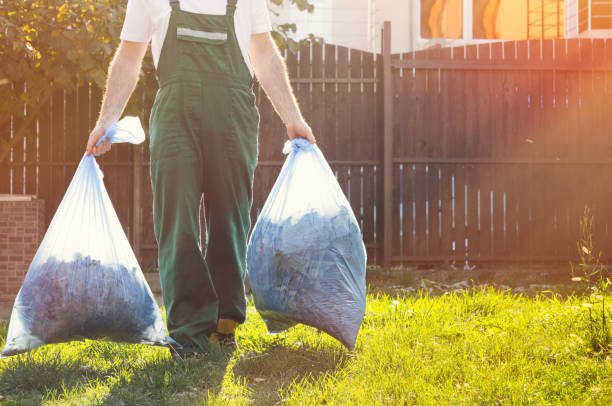 Debris Removal in Somerton, AZ